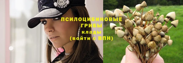 ешки Арсеньев