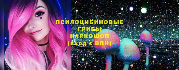 ПСИЛОЦИБИНОВЫЕ ГРИБЫ Рославль