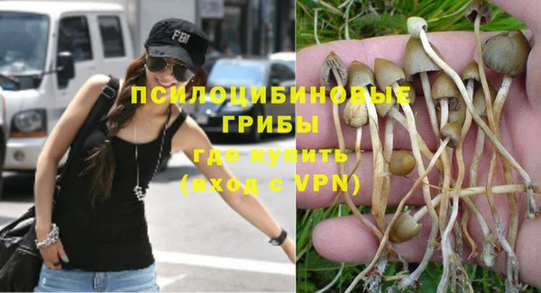 ешки Арсеньев