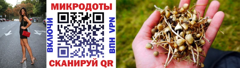 ссылка на мегу tor  продажа наркотиков  Бавлы  Псилоцибиновые грибы прущие грибы 